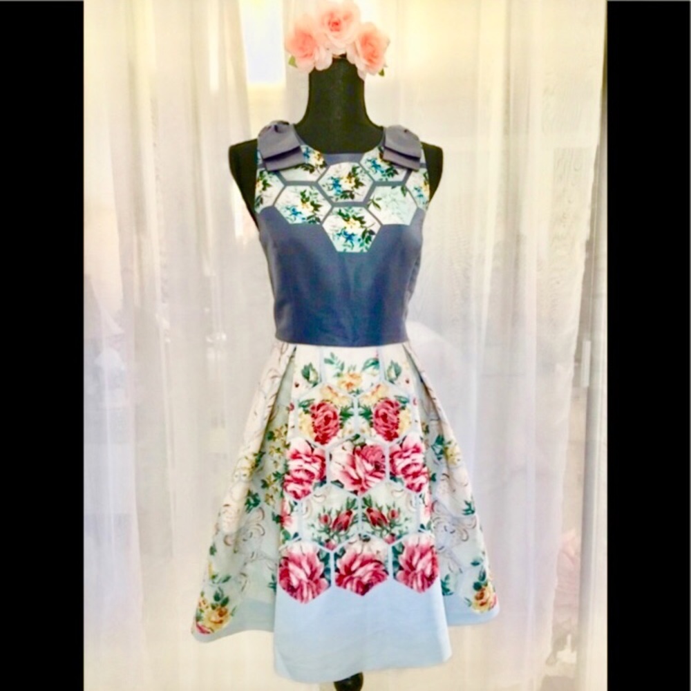 BNWT  Ted Baker Evalin Ted 3/US8 Skater Dress!